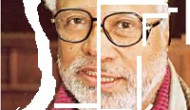 ব্যাঘ্র থেকে বেড়াল ব্যাঘ্র থেকে বেড়াল