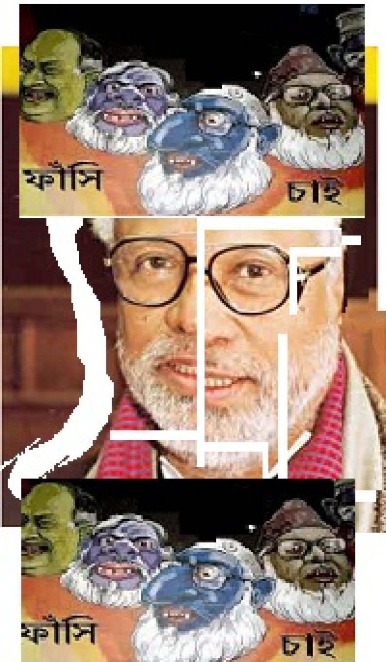 ব্যাঘ্র থেকে বেড়াল ব্যাঘ্র থেকে বেড়াল