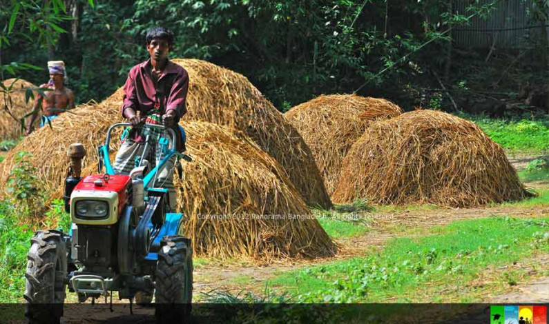 বাংলাদেশের অর্থনীতি কোন পথে?