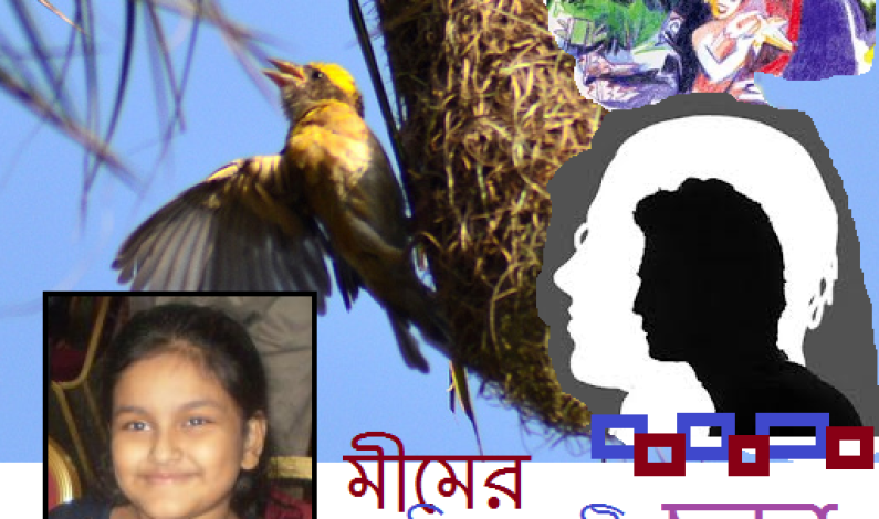মীমের তিনটি ছড়া মীমের তিনটি ছড়া