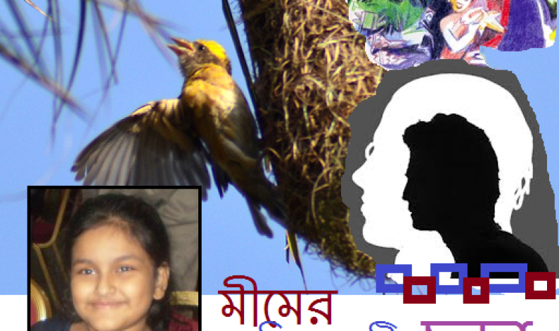 মীমের তিনটি ছড়া