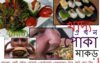 পোকামাকড়ে তৈরি ফাস্টফুড! পোকামাকড়ে তৈরি ফাস্টফুড!