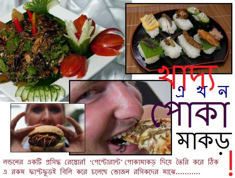 পোকামাকড়ে তৈরি ফাস্টফুড! পোকামাকড়ে তৈরি ফাস্টফুড!