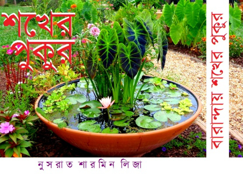 বারান্দায় শখের পুকুর