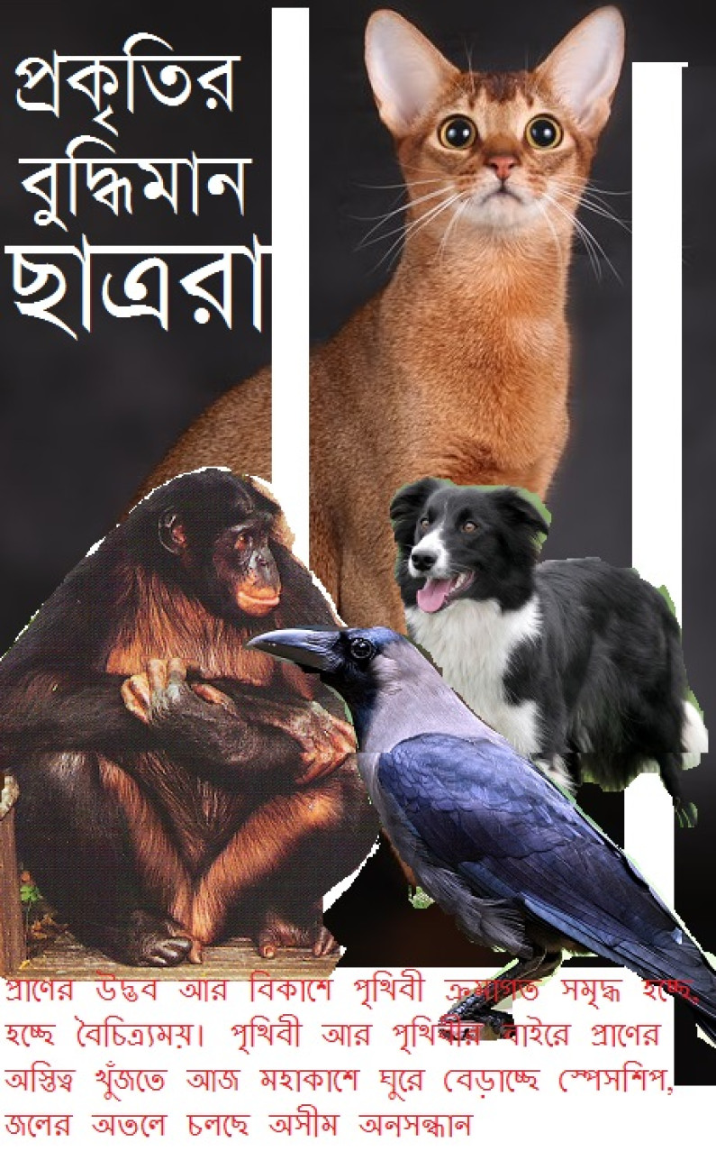 প্রকৃতির বুদ্ধিমান ছাত্ররা