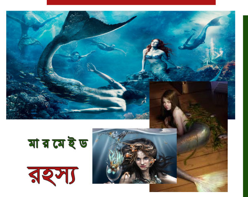 মৎস্যকন্যা রহস্য মৎস্যকন্যা রহস্য