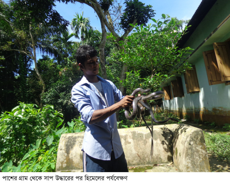 নিজ খামারে সাপ পরিচর্যা করেই দিন কাটে হিমেলের নিজ খামারে সাপ পরিচর্যা করেই দিন কাটে হিমেলের