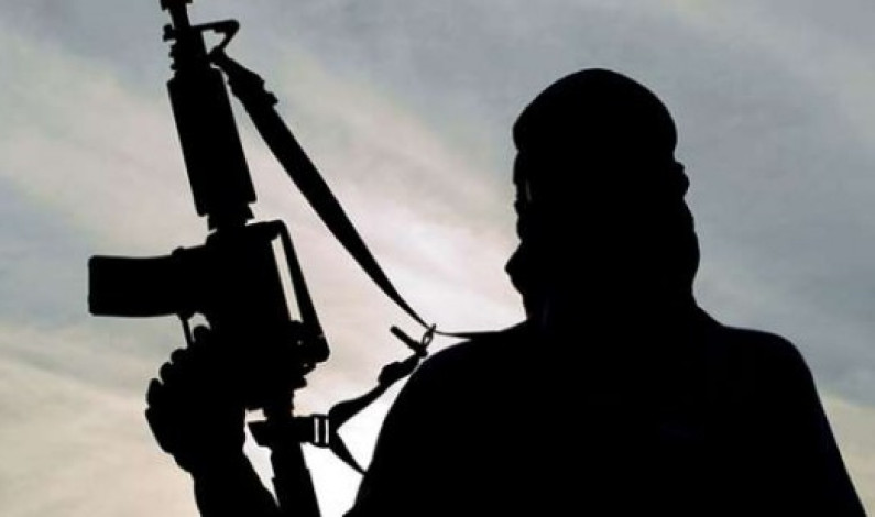 Universal Anti-Terrorist Front Essential Universal Anti-Terrorist Front Essential
