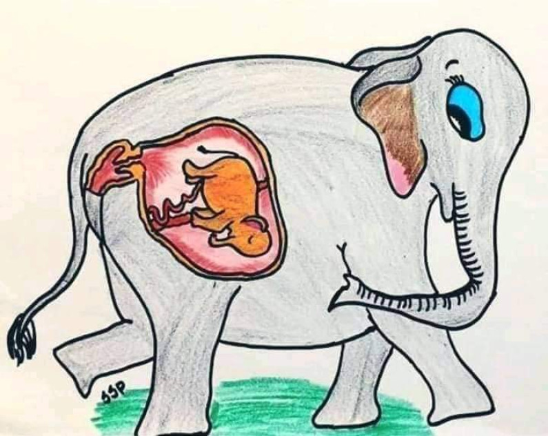 কবিতা : অব্যাক্ত  কিছু কথা কবিতা : অব্যাক্ত  কিছু কথা