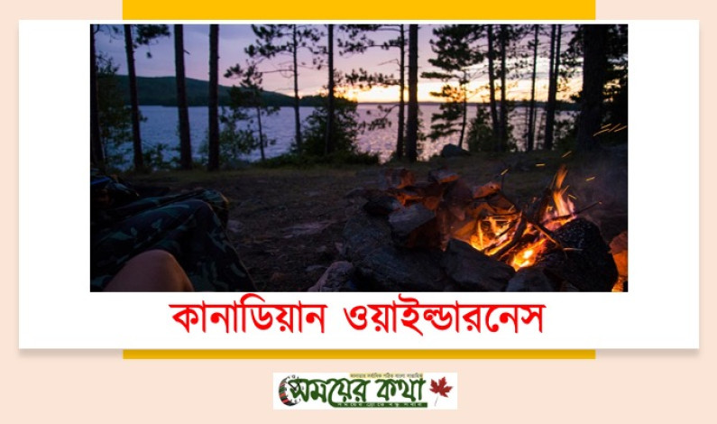 কানাডিয়ান ওয়াইল্ডারনেস দেখার জন্য শীর্ষ স্থানগুলি কানাডিয়ান ওয়াইল্ডারনেস দেখার জন্য শীর্ষ স্থানগুলি