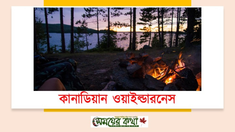 কানাডিয়ান ওয়াইল্ডারনেস দেখার জন্য শীর্ষ স্থানগুলি কানাডিয়ান ওয়াইল্ডারনেস দেখার জন্য শীর্ষ স্থানগুলি
